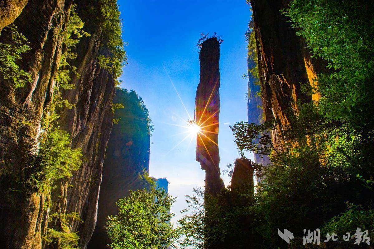 大红鹰游戏线路